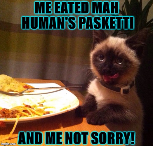 ME EATED MAH HUMAN'S PASKETTI; AND ME NOT SORRY! | image tagged in spaghetti cat | made w/ Imgflip meme maker