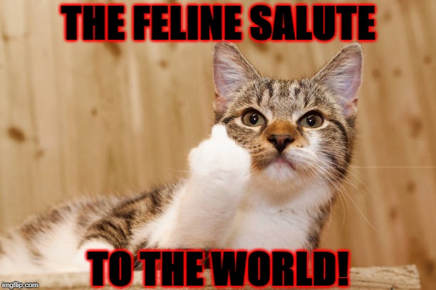 THE FELINE SALUTE; TO THE WORLD! | image tagged in feline salute | made w/ Imgflip meme maker