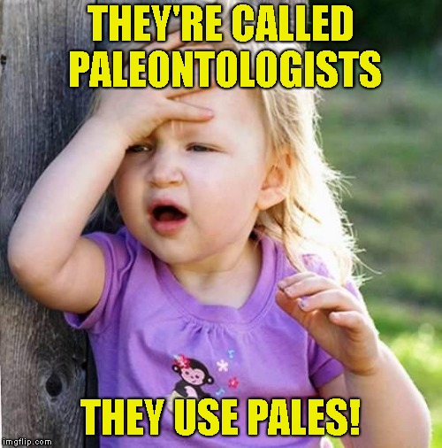 duh | THEY'RE CALLED PALEONTOLOGISTS THEY USE PALES! | image tagged in duh | made w/ Imgflip meme maker