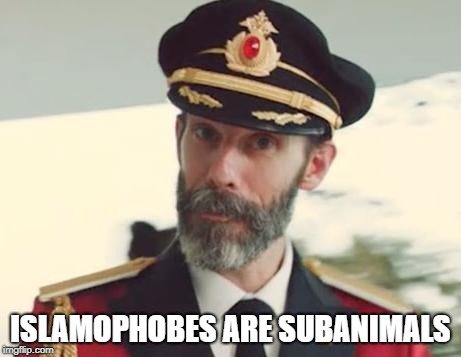 Islamophobes Are Subanimals | ISLAMOPHOBES ARE SUBANIMALS | image tagged in captain obvious,islamophobia | made w/ Imgflip meme maker