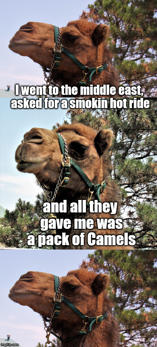 camel joker | I went to the middle east, asked for a smokin hot ride; and all they gave me was a pack of Camels | image tagged in camel joker | made w/ Imgflip meme maker