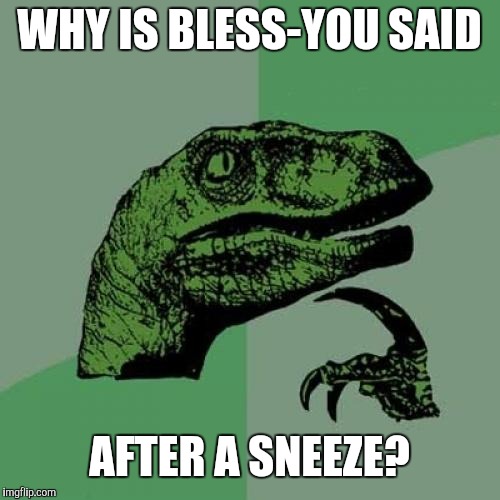 Philosoraptor | WHY IS BLESS-YOU SAID; AFTER A SNEEZE? | image tagged in memes,philosoraptor | made w/ Imgflip meme maker
