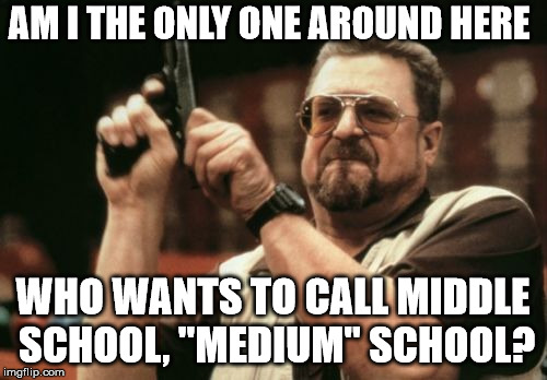 Am I The Only One Around Here Meme | AM I THE ONLY ONE AROUND HERE WHO WANTS TO CALL MIDDLE SCHOOL, "MEDIUM" SCHOOL? | image tagged in memes,am i the only one around here | made w/ Imgflip meme maker