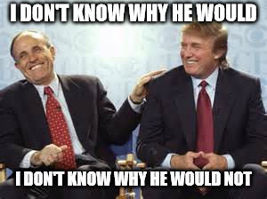 donald trump rudy giuliani | I DON'T KNOW WHY HE WOULD I DON'T KNOW WHY HE WOULD NOT | image tagged in donald trump rudy giuliani | made w/ Imgflip meme maker