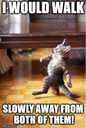 Walking Cat | I WOULD WALK SLOWLY AWAY FROM BOTH OF THEM! | image tagged in walking cat | made w/ Imgflip meme maker