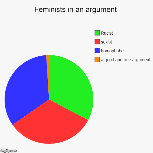 Feminists in an argument | a good and true argument, homophobe, sexist, Racist | image tagged in funny,pie charts,feminist,funny memes,political,first world problems | made w/ Imgflip chart maker