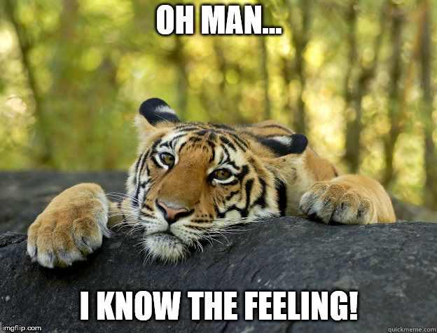 terrible tiger | OH MAN... I KNOW THE FEELING! | image tagged in terrible tiger | made w/ Imgflip meme maker