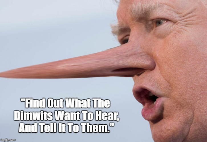 "Find Out What The Dimwits Want To Hear, And Tell It To Them." | made w/ Imgflip meme maker