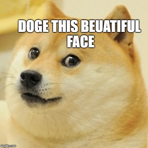 Doge Meme | DOGE THIS BEUATIFUL FACE | image tagged in memes,doge | made w/ Imgflip meme maker