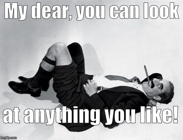 recumbent Groucho | My dear, you can look at anything you like! | image tagged in recumbent groucho | made w/ Imgflip meme maker