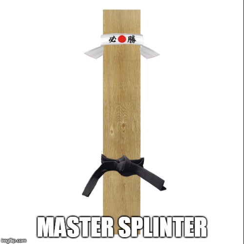 Master Splinter |  MASTER SPLINTER | image tagged in tmnt,master splinter,puns | made w/ Imgflip meme maker