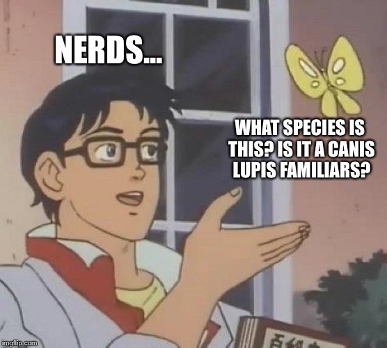 Is This A Pigeon Meme | NERDS... WHAT SPECIES IS THIS? IS IT A CANIS LUPIS FAMILIARS? | image tagged in memes,is this a pigeon | made w/ Imgflip meme maker