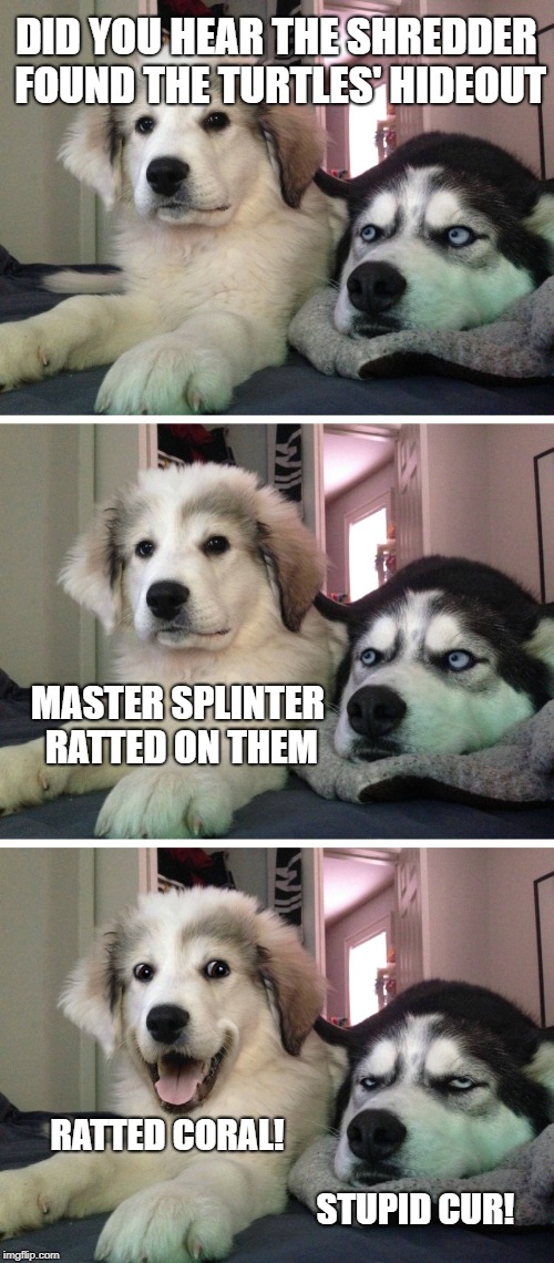Bad pun dogs | DID YOU HEAR THE SHREDDER FOUND THE TURTLES' HIDEOUT MASTER SPLINTER RATTED ON THEM RATTED CORAL! STUPID CUR! | image tagged in bad pun dogs | made w/ Imgflip meme maker