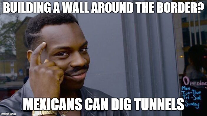 Roll Safe Think About It | BUILDING A WALL AROUND THE BORDER? MEXICANS CAN DIG TUNNELS | image tagged in memes,roll safe think about it | made w/ Imgflip meme maker