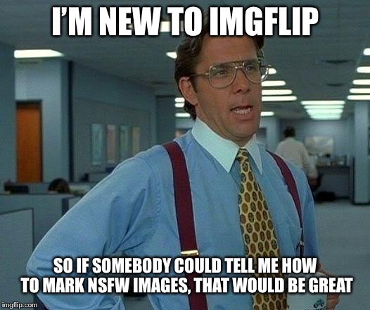  please I’m noob :’( | I’M NEW TO IMGFLIP; SO IF SOMEBODY COULD TELL ME HOW TO MARK NSFW IMAGES, THAT WOULD BE GREAT | image tagged in memes,that would be great | made w/ Imgflip meme maker