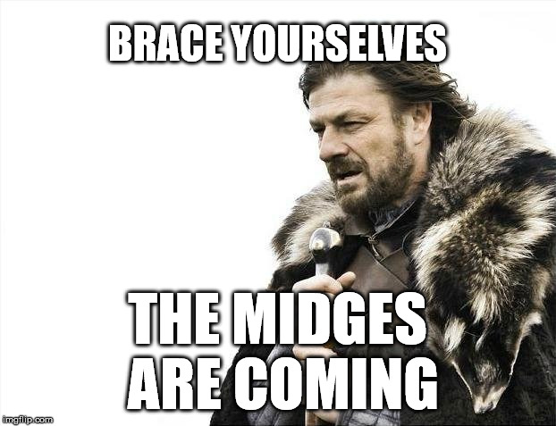 Brace Yourselves X is Coming Meme | BRACE YOURSELVES; THE MIDGES ARE COMING | image tagged in memes,brace yourselves x is coming | made w/ Imgflip meme maker