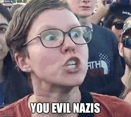 Triggered Liberal | YOU EVIL NAZIS | image tagged in triggered liberal | made w/ Imgflip meme maker