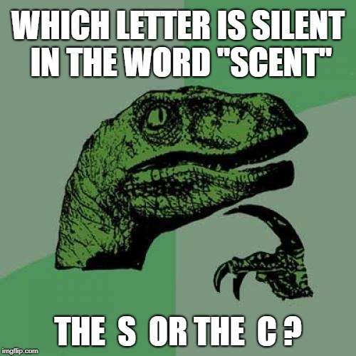 Something didn't smell right, and then I wondered... | WHICH LETTER IS SILENT IN THE WORD "SCENT"; THE  S  OR THE  C ? | image tagged in memes,philosoraptor,funny memes,grammar nazi,grammar,smell | made w/ Imgflip meme maker
