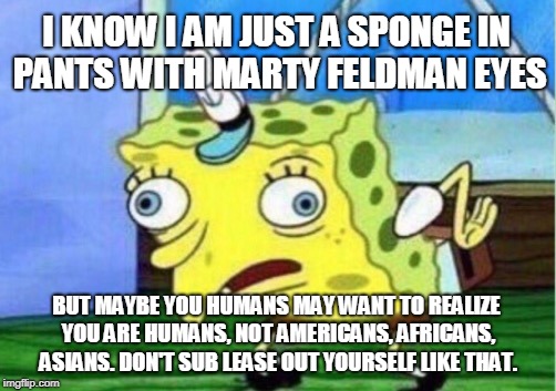 Mocking Spongebob | I KNOW I AM JUST A SPONGE IN PANTS WITH MARTY FELDMAN EYES; BUT MAYBE YOU HUMANS MAY WANT TO REALIZE YOU ARE HUMANS, NOT AMERICANS, AFRICANS, ASIANS. DON'T SUB LEASE OUT YOURSELF LIKE THAT. | image tagged in memes,mocking spongebob | made w/ Imgflip meme maker