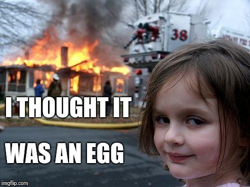 Disaster Girl Meme | I THOUGHT IT WAS AN EGG | image tagged in memes,disaster girl | made w/ Imgflip meme maker
