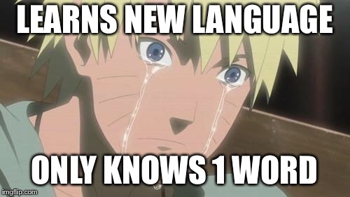 Finishing anime | LEARNS NEW LANGUAGE; ONLY KNOWS 1 WORD | image tagged in finishing anime | made w/ Imgflip meme maker