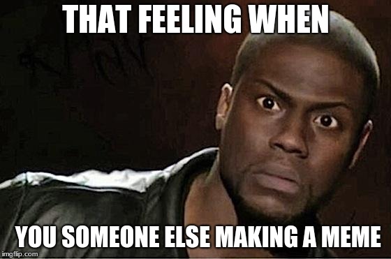 Kevin Hart Meme | THAT FEELING WHEN; YOU SOMEONE ELSE MAKING A MEME | image tagged in memes,kevin hart | made w/ Imgflip meme maker