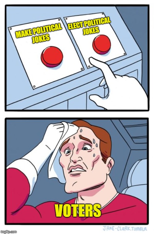 Seriously | ELECT POLITICAL JOKES; MAKE POLITICAL JOKES; VOTERS | image tagged in memes,two buttons | made w/ Imgflip meme maker