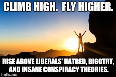 Presumably inspirational title here... | CLIMB HIGH.  FLY HIGHER. RISE ABOVE LIBERALS' HATRED, BIGOTRY, AND INSANE CONSPIRACY THEORIES. | image tagged in memes,liberals,rise above,hatred,bigotry | made w/ Imgflip meme maker