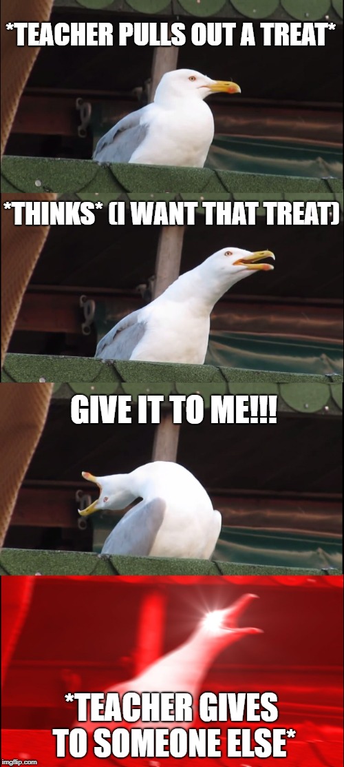 Inhaling Seagull | *TEACHER PULLS OUT A TREAT*; *THINKS* (I WANT THAT TREAT); GIVE IT TO ME!!! *TEACHER GIVES TO SOMEONE ELSE* | image tagged in memes,inhaling seagull | made w/ Imgflip meme maker