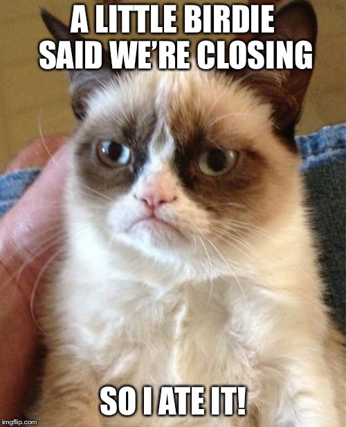 Grumpy Cat | A LITTLE BIRDIE SAID WE’RE CLOSING; SO I ATE IT! | image tagged in memes,grumpy cat | made w/ Imgflip meme maker