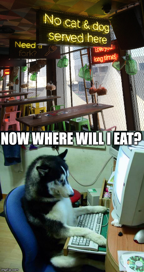 Restricted clientele, apparently | NOW WHERE WILL I EAT? | image tagged in restaurant,cat,dog | made w/ Imgflip meme maker