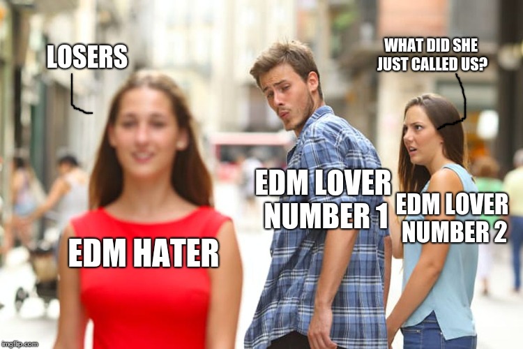 EDM hater in a nutshell | WHAT DID SHE JUST CALLED US? LOSERS; EDM LOVER NUMBER 1; EDM LOVER NUMBER 2; EDM HATER | image tagged in memes,haters,edm | made w/ Imgflip meme maker