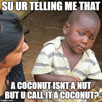 Third World Skeptical Kid | SU UR TELLING ME THAT; A COCONUT ISNT A NUT BUT U CALL IT A COCONUT? | image tagged in memes,third world skeptical kid | made w/ Imgflip meme maker