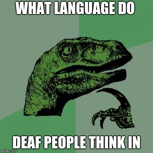 Philosoraptor | WHAT LANGUAGE DO; DEAF PEOPLE THINK IN | image tagged in memes,philosoraptor | made w/ Imgflip meme maker