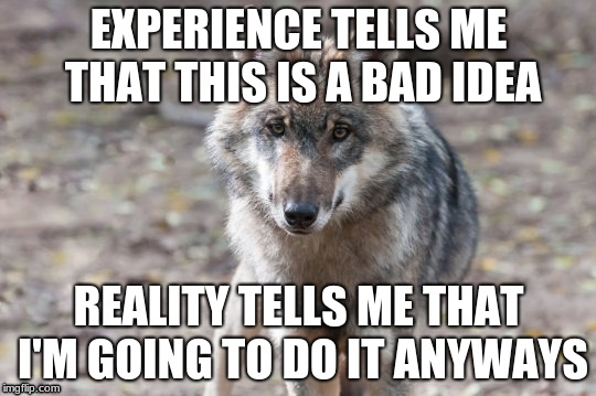 Depressing wolf | EXPERIENCE TELLS ME THAT THIS IS A BAD IDEA; REALITY TELLS ME THAT I'M GOING TO DO IT ANYWAYS | image tagged in funny,wolf,demotivationals | made w/ Imgflip meme maker