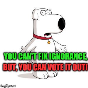 Family Guy Brian | YOU CAN'T FIX IGNORANCE, BUT, YOU CAN VOTE IT OUT! | image tagged in memes,family guy brian | made w/ Imgflip meme maker