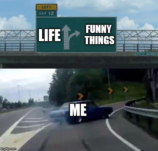 Left Exit 12 Off Ramp Meme | FUNNY THINGS; LIFE; ME | image tagged in memes,left exit 12 off ramp | made w/ Imgflip meme maker