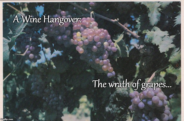 A wine hangover... | A Wine Hangover:; The wrath of grapes... | image tagged in grapes,wrath,wine,hangover | made w/ Imgflip meme maker