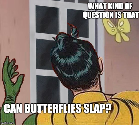 CAN BUTTERFLIES SLAP? WHAT KIND OF QUESTION IS THAT | made w/ Imgflip meme maker
