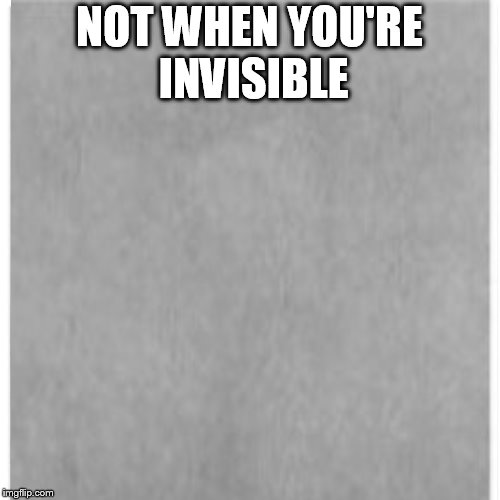 NOT WHEN YOU'RE INVISIBLE | made w/ Imgflip meme maker