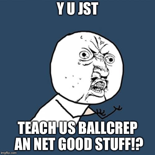 Y U No Meme | Y U JST TEACH US BALLCREP AN NET GOOD STUFF!? | image tagged in memes,y u no | made w/ Imgflip meme maker