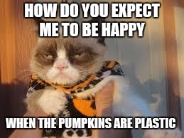 Grumpy Cat Halloween Meme | HOW DO YOU EXPECT ME TO BE HAPPY WHEN THE PUMPKINS ARE PLASTIC | image tagged in memes,grumpy cat halloween,grumpy cat | made w/ Imgflip meme maker