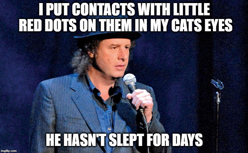 Steven Wright | I PUT CONTACTS WITH LITTLE RED DOTS ON THEM IN MY CATS EYES HE HASN'T SLEPT FOR DAYS | image tagged in steven wright | made w/ Imgflip meme maker