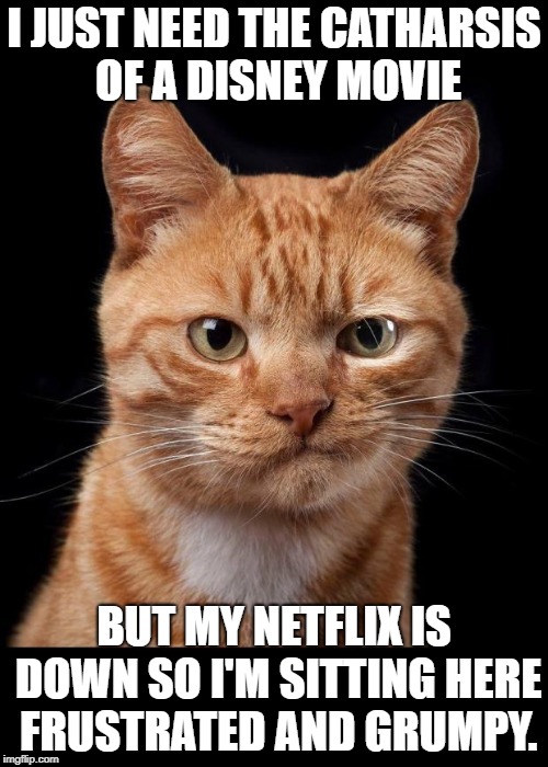 Frustrated Cat | I JUST NEED THE CATHARSIS OF A DISNEY MOVIE; BUT MY NETFLIX IS DOWN SO I'M SITTING HERE FRUSTRATED AND GRUMPY. | image tagged in frustrated cat | made w/ Imgflip meme maker