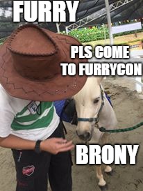 FURRY; PLS COME TO FURRYCON; BRONY | image tagged in furry,brony,2018 | made w/ Imgflip meme maker