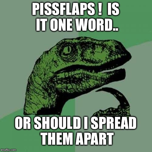 Philosoraptor Meme | PISSFLAPS ! 
IS IT ONE WORD.. OR SHOULD I SPREAD THEM APART | image tagged in memes,philosoraptor | made w/ Imgflip meme maker