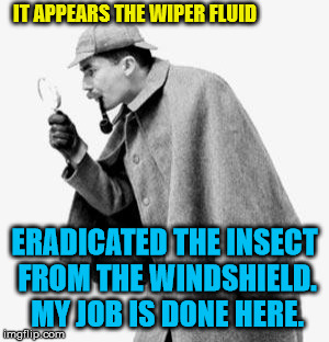 detective | IT APPEARS THE WIPER FLUID ERADICATED THE INSECT FROM THE WINDSHIELD. MY JOB IS DONE HERE. | image tagged in detective | made w/ Imgflip meme maker