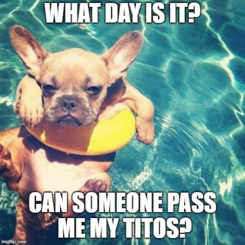 Summer is here dog pug | WHAT DAY IS IT? CAN SOMEONE PASS ME MY TITOS? | image tagged in summer is here dog pug | made w/ Imgflip meme maker