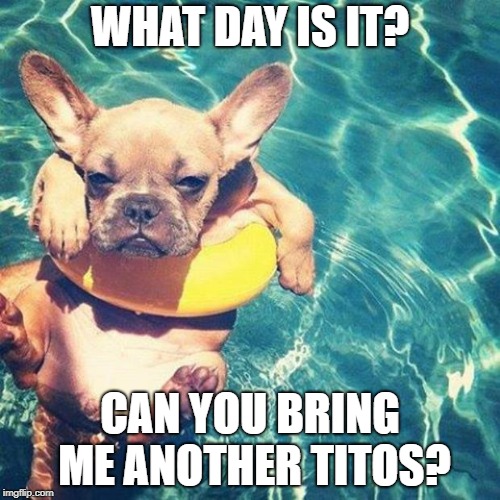Summer is here dog pug | WHAT DAY IS IT? CAN YOU BRING ME ANOTHER TITOS? | image tagged in summer is here dog pug | made w/ Imgflip meme maker