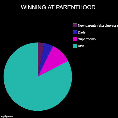 WINNING AT PARENTHOOD | Kids, Supermoms, Dads, New parents (aka clueless) | image tagged in funny,pie charts | made w/ Imgflip chart maker